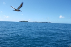 22.04.10 Arribant a Abrolhos 001