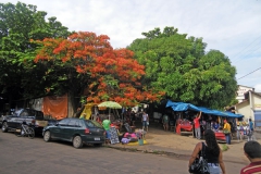 01_03_10 Santarem 013