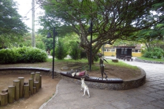 06.05.10 Ossos_Buzios 020