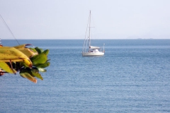 26.06.10 Picinguaba 002