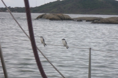 02.05.10 Saco_Guarapari 011