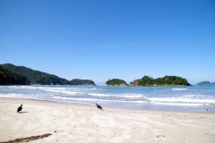 07.06.10 Caminada Dois Rios_Ilha Grande 024