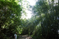 07.06.10 Caminada a Dois Rios_Ilha Grande 006