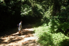 07.06.10 Caminada a Dois Rios_Ilha Grande 012