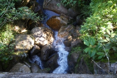 07.06.10 Caminada a Dois Rios_Ilha Grande 019