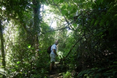 07.06.10 Caminada a Dois Rios_Ilha Grande 035