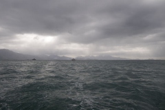 12.06.10 Ilha Grande