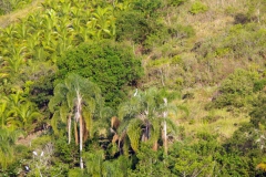 20.06.10 Arribant a Paraty 021