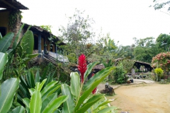 22.06.10 Fazenda Muricana_Paraty 008