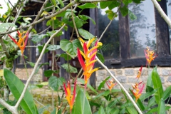 22.06.10 Fazenda Muricana_Paraty 009