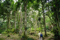22.06.10 Fazenda Muricana_Paraty 012