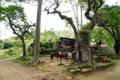 22.06.10 Fazenda Muricana_Paraty 015