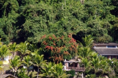 24.06.10 Paraty Mirim 004