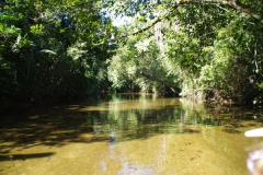 250610-rio-cairucu-025