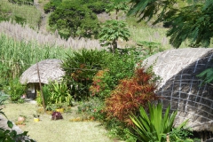 17.12.09 La casa de l'alemany_Riberira de Paul_Santo Antao 039