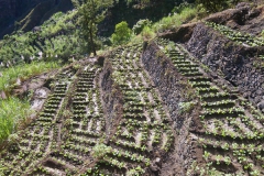 17.12.09 Riberira de Paul_Santo Antao 028