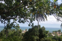 140210_Carnaval de Olinda 107