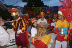 160210_Carnaval de Recife 010