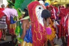160210_Carnaval de Recife 052