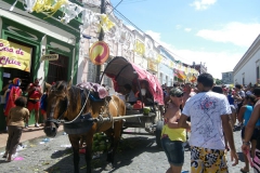 Carnaval_Olinda 029