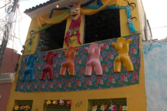 Carnaval_Olinda_005