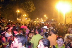Folia de Rua 008