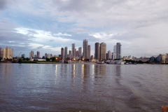 26_02_10 Deixem Belem_cisne branco 059