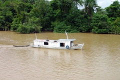 27_02_10 Petit transport_Cisne Branco 081