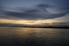 28_02_10 Posta de sol_Cisne branco 054