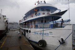 Cisne Branco