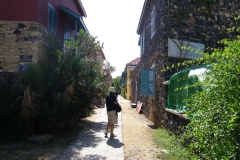20102009 Ille de Goree 004