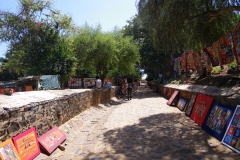 20102009 Ille de Goree 017