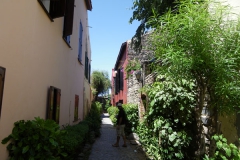 20102009 Ille de Goree 024