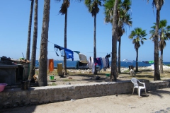 20102009 Ille de Goree 029