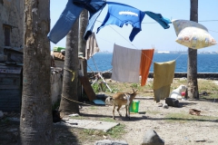 20102009 Ille de Goree 030