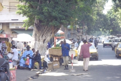 22102009Dakar 008