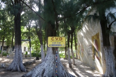 22102009Dakar_CVD_044