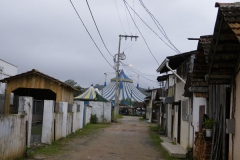 IMGP0356