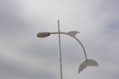 IMGP0421