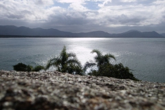 IMGP0437