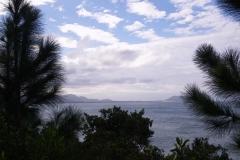 IMGP0442