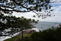 IMGP0443