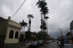 10.07.10 Morretes 005