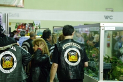 10.07.10 Serra do Mar 002