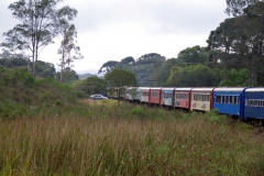10.07.10 Serra do Mar 015