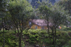 10.07.10 Serra do Mar 017