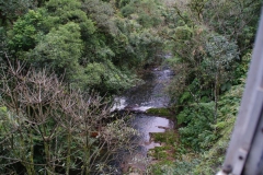 10.07.10 Serra do Mar 031