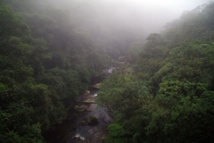 10.07.10 Serra do Mar 034