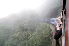 10.07.10 Serra do Mar 038