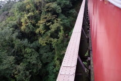 10.07.10 Serra do Mar 046